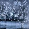 Accesorios de Boda Pájaro Transparente Brillante Pájaro Auspicioso Lámpara de Araña Escenario de Boda Diseño de Lugar Luces Decorativas Venta al por Mayor Soñador