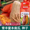 Semillas de Calabaza Mielera Huerto Familiar Calabaza Mielera de Pulpa Espesa Naranja Roja Semillas de Verduras