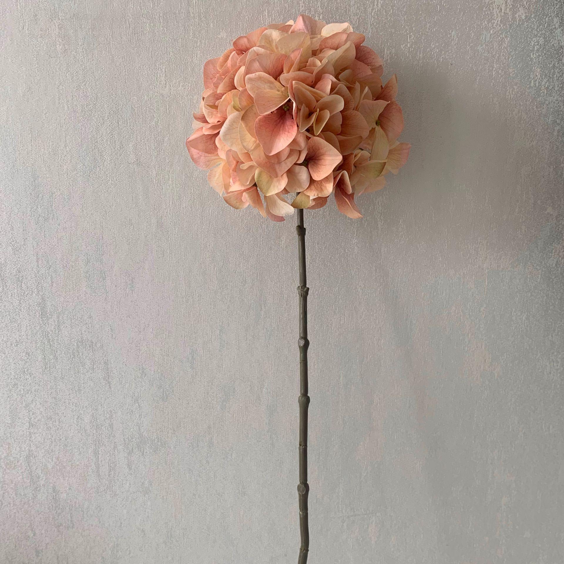 QQ图片20200426122158