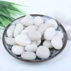 Piedras Pequeñas Naturales para Decoración de Sustrato de Acuario, Piedras de Colores, Metabo