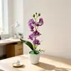 Día de Año Nuevo Top Grande Fondo Pequeño 7 Orquídeas Phalaenopsis Bonsái Decoración de Jardín para el Hogar Flor de Simulación Planta Verde Planta en Maceta Adorno