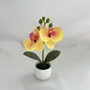 Mini 2 Plantas de Phalaenopsis de Plástico em Vasos Layout de Pátio Externo Flores Artificiais Ornamentos Fotografia de Casamento Bonsai Decorativo
