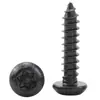 Tornillo Autorroscante Antirrobo de Acero Inoxidable 201 Negro Cabeza Redonda Ranura Flor de Ciruelo Cabeza Plana Flor de Ciruelo Interior M2/M3/M4/M5
