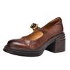 Zapatos para Mujer Modelo Nuevo 2026 para Todas las Estaciones, Zapatos Mary Jane de Tacón Alto Estilo Retro con Punta Redonda, Correa Única y Suela Gruesa para Mujer