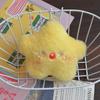 Pingente de Estrela Criativo Squeaky Boneca de Pelúcia de Estrela Fofa Chaveiro Pendente para Mochila Presente para Casal Atacado