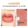 Shaqinuo Kit com 4 Glosses Labiais Hidratantes com Efeito Molhado e Transparente para Lábios - Caixa de Presente com 4 Peças