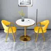 Conjunto de mesa e cadeiras de varanda de pequeno porte para discussão, mesa de recepção simples para escritórios de vendas, mesa redonda pequena para cafeterias e casas de chá, mesa de recepção