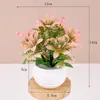 Plantas em vaso de planta verde artificial, plantas verdes artificiais minimalistas nórdicas, plantas em vaso para mesa de escritório, adereços de fotografia, bonsai de planta verde pequena
