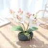 Orquídeas Borboleta Artificiais Selecionadas com Cuidado, Pequenos Ornamentos de Bonsai, Flores Artificiais Atacado de Fabricantes, Plantas Artificiais em Vasos, Itens Criativos para Decoração de Casa