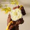 Guofeng Cuatro Estaciones Fragancia Colgante Naranja Grande Dali Caja de Regalo de Aromaterapia Pieza de Aromaterapia para Coche Yeso Colgante de Aromaterapia para Interiores Regalo de Acompañamiento