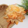 0374 Pasador de Flores y Plantas Europeo y Americano para Mujer Pasador Infantil Elegante Accesorios para el Cabello Flor para la Cabeza con Broche de Pluma Venta Directa