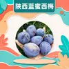 Ciruelas Azules Miel de Weinan Shaanxi, al por mayor caja completa de 1/3/ 2.5kg, jugosas, crujientes, dulces, refrescantes, ricas en aroma frutal, fruta fresca