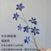 Flores artificiales azul bruma para bodas al por mayor, flores falsas de color bruma oscura para escenario de salón de bodas, decoración floral de fondo de pasillo