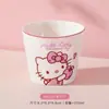 Xícara de Chá Sanrio Cerâmica Feminina Pessoal para Beber Conjunto de Chá Kung Fu terno Aniversário Mestre Xícara Pequena