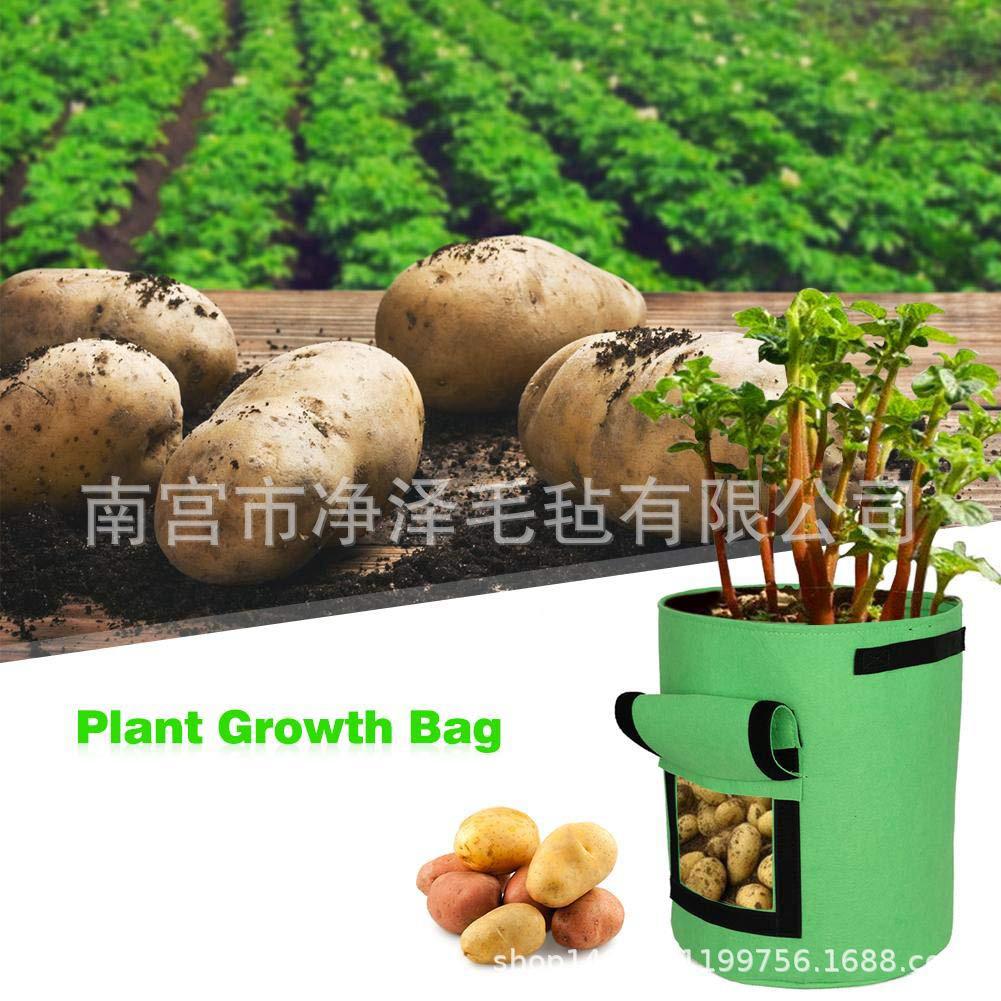 71-gZD1LxJL._SL1001_