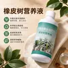 Fertilizante Especial para Árboles de Caucho, Verde Explosivo Cuatro Estaciones, Potenciador de Verde, Hojas Anti-Amarillamiento, Hojas Anti-Caída, Anti-Marchitamiento, No Floreciente, Nuevo Fertilizante Especial