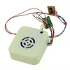 Caixa de Som para Gravação com Mudança de Voz, Brinquedo de Pelúcia Eletrônico com Reprodução de Voz, Caixa de Som DIY com Função Personalizável