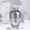 Ornamentos Decorativos Personalizados Vaso de Vidro Simples Colorido Criativo Sala de Estar Pequenas Flores Hidropônicas Vaso para Arranjo Floral Doméstico