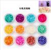Polvo de concha de 12 colores para uñas, ideal para terapia de luz, decoración de cristales, suministros para uñas al por mayor