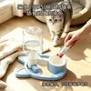 Nuevo dispensador de agua por gravedad para gatos, comedero de agua para perros, dispensador de agua automático, anti-pelo de gato, cuenco para gatos anti-humedad, suministros para mascotas