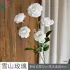 Rosa de Montaña Nevado 5 Cabezas Camelia Flor Artificial para Decoración de Fondo de Boda, Arreglo Floral de Escenario de Boda, Flor de Seda Decorativa Base