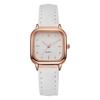 2024 Nuevo Reloj de Mujer de Alta Gama Moda Nicho Lujo Ligero Alta Gama Elegante Impermeable Versátil Reloj de Cuarzo