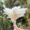 Venta al por mayor de fábrica caña diseño de fondo para fotos de boda pequeño ramo de cañas caña de pelo gris decoración del hogar flores secas