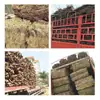 Suprimento em estoque guirlanda de videira de seda amarela artesanato de plantas matérias-primas anel de rattan puro materiais para fabricação adereços para fotografia