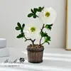 Criativo Bonsai de Flor de Carpa de Duas Cabeças Moda Artificial em Vaso Flor Falsa Fotografia Casamento Flor Artificial Enfeites de Decoração para Casa