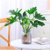 Plantas Hidropônicas, Plantas de Vaso Pena de Primavera, Fáceis de Cultivar em Todas as Estações, Florais, Filodendro, Plantas Verdes de Folhas Grandes Absorventes de Formaldeído para Sala de Estar