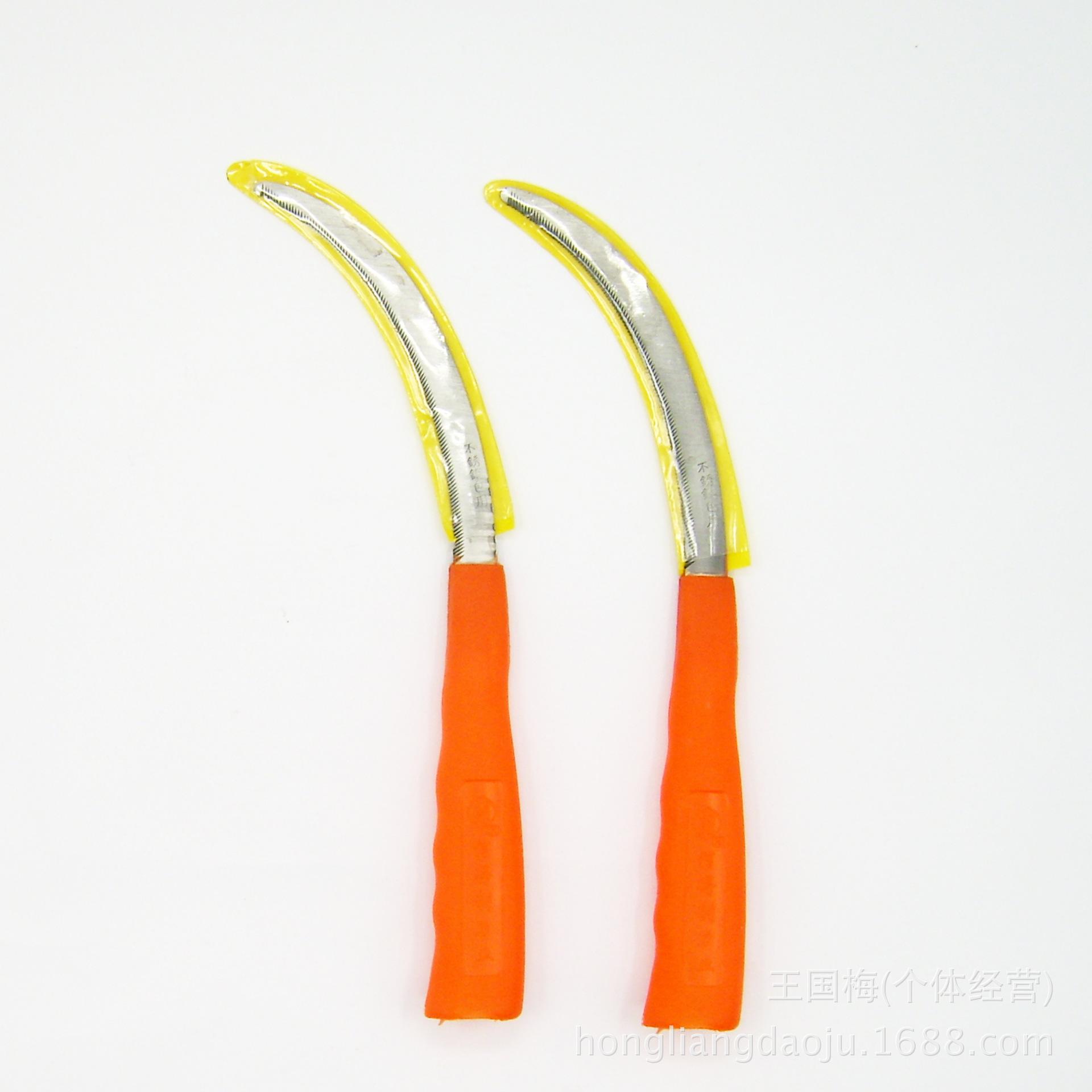 DSCI0036