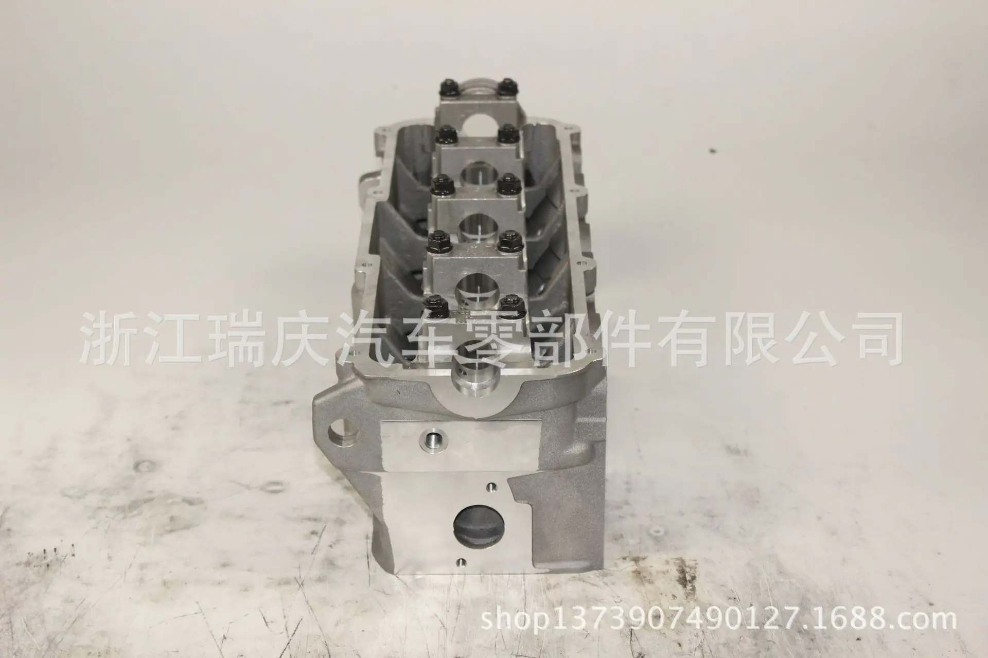 RC-VW013 (6)