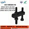 Placa de Pressão Tipo Ranhura Interna Tipo Conjunto Tipo B ZFB35-W19 25 32 38-L40 50 63-H40 50 63