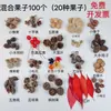 Fruta Fixa Natural Planta Fruta Casca Espécime Material Decoração Flores Secas Fatias Jardim de Infância DIY Pacote de Material de Natal