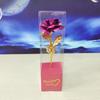 Rosa de Folha de Ouro Flor Artificial Dia dos Namorados Dia das Mães Rosa Única Presente Evento Criativo Natal Transfronteiriço