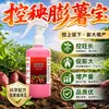 Control expansión plántula tesoro papa control papa crecimiento vigoroso promotor aumentar producción control superior promover inferior bebé camote prevenir deformidad aumentar producción fertilizante