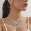 Conjunto de collar y pendientes con cadena de garras exquisita de alta gama transfronteriza, lleno de diamantes de imitación, cadena de clavícula, accesorios exagerados para la cena de la novia.
