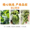 Guangxi prohíbe los plátanos verdes y los plátanos Xiaomi. Entrega de plátanos enteros de 2/3/5/4.5 kg con tallos, cajas enteras de fruta fresca dulce y pegajosa
