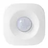 Graffiti inteligente WiFi sensor de movimiento infrarrojo de cuerpo humano detector de alarma inalámbrico infrarrojo PIR hogar inteligente
