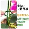Suporte de Vaso de Flor Especial para Suculentas e Phalaenopsis Recém-Atualizado, Suporte de Vaso de Flor, Haste de Suporte em Forma de Flor, Rack de Proteção de Folhas Fixas