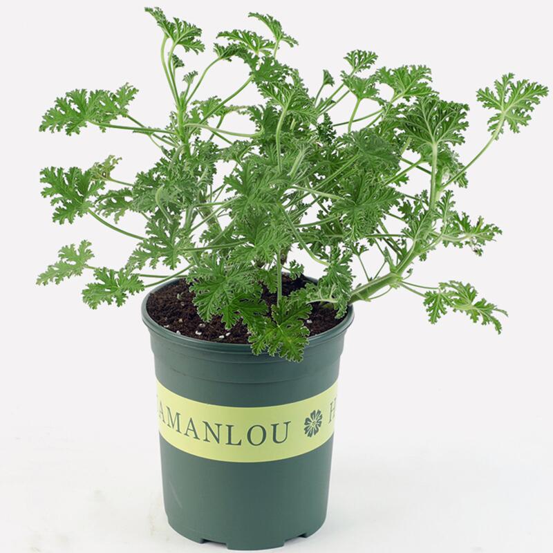 QQ图片20210808214128