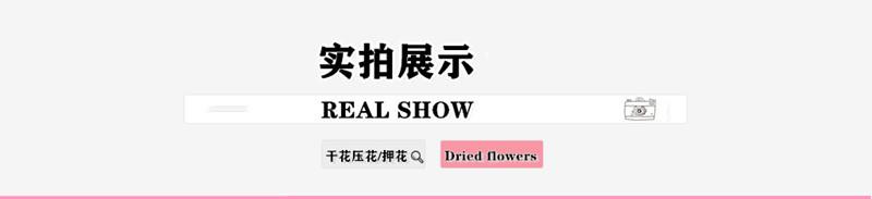 微信图片_20210521210611_副本