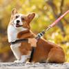 Nova Coleira e Guia para Cães Pequenos e Médios, Guia para Animais de Estimação para Corgis e Bichons, Guia Refletora para Cães para Uso Externo, Anti-Puxão