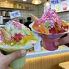 Tigelas de Gelo Descartáveis Famosas na Internet para Uso Comercial, Tigelas de Gelo Flocado, Tigelas para Raspadinha, Copos para Sorvete, Tigelas Pétala, Embalagens Profissionais para Sobremesas