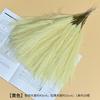 Adornos Simulados de Plumas de Hierba de Junco Escandinavo Pantalla de Sala de Estar Ins Hierba de Pampa Transfronteriza Decoración de Boda Atrezzo Artificial