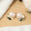 Aretes de Botón Florales para Mujer de Diseño Trendy de Alta Gama Estilo Coreano Versátiles Elegantes Aguja de Plata S925 Lujo Ligero Niche