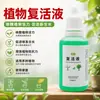 Revival Líquido para Plantas Líquido Fortalecedor de Raízes Árvore da Felicidade Árvore da Riqueza Regenerador de Árvores Murchas Agente Universal para Enraizamento e Fortalecimento de Mudas