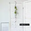 Cipó murcho espumante, galho seco, decoração de flor, simulação de árvore murcha, Cipó, galho seco, simulação de paisagem de jardim, cipó murcho, Galho Seco