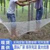 Red de Seguridad Estándar Nacional para Protección de Seguridad en la Construcción, Red Anticaídas, Red Blanca, Protección para Barandilla de Escalera y Balcón para Niños