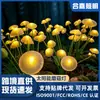Luces solares para jardín, iluminación exterior impermeable para paisajes, luces ambientales, luces decorativas de hongo arcoíris para camping, balcón, césped